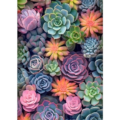Succulent