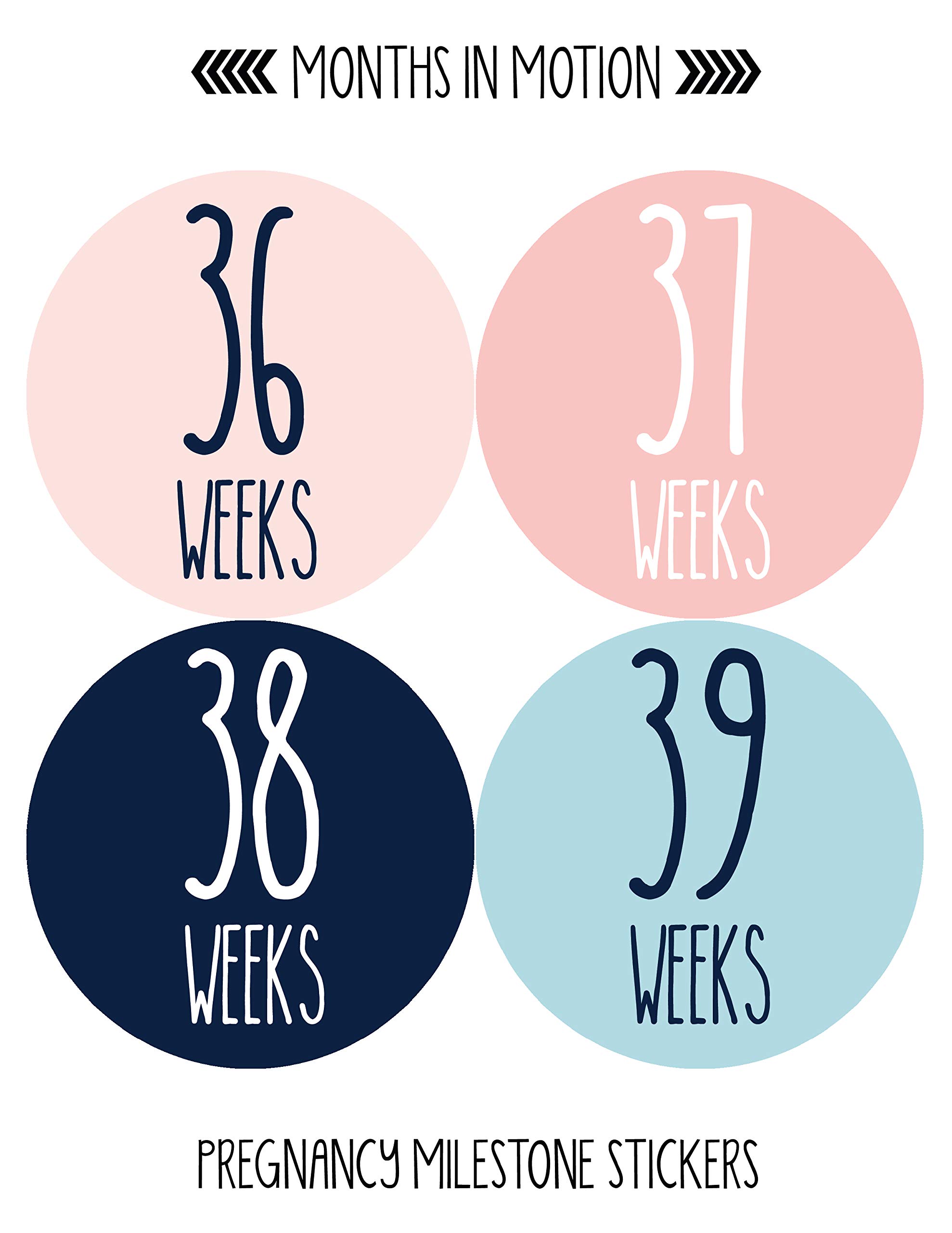 Months In Motion Weekly Pregnancy Growth Stickers - 36 Pcs Baby Bump Photo Props for Maternity Milestones | Perfect for Pregnancy Journal, Baby Shower Gifts & Bumpdate Photos | Track Your Pregnancy Journey Week by Week