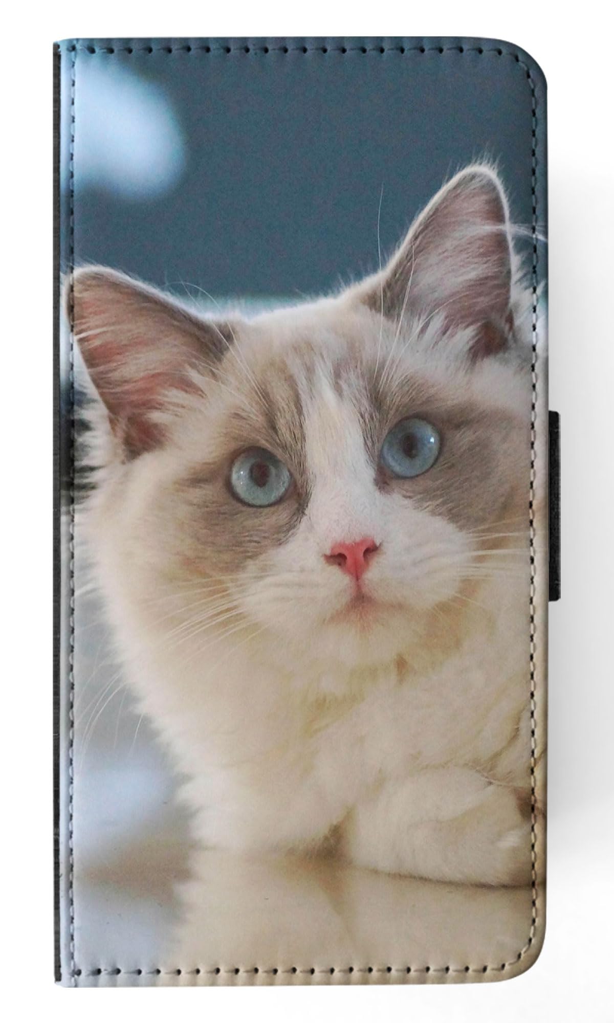 Premium Ragdoll Cat 6 Flip Wallet Phone Case for Apple iPhone 15 Plus - Stylish Protective Cover with Card Slots for Everyday Use & Travel