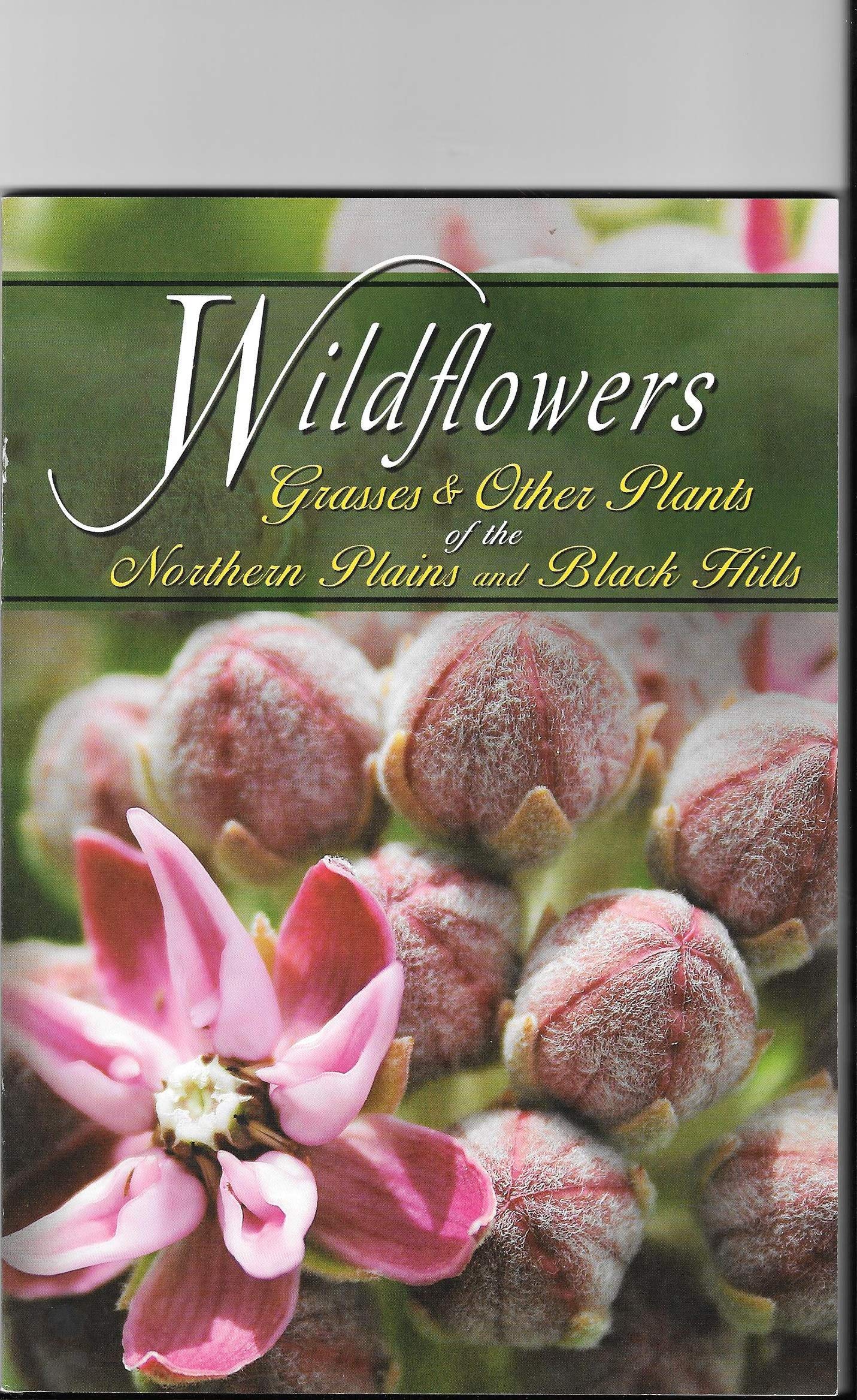 Wildflowers, Grasses, and Native Plants of the Northern Plains & Black Hills - Perfect for Gardening, Landscaping, and Nature Exploration