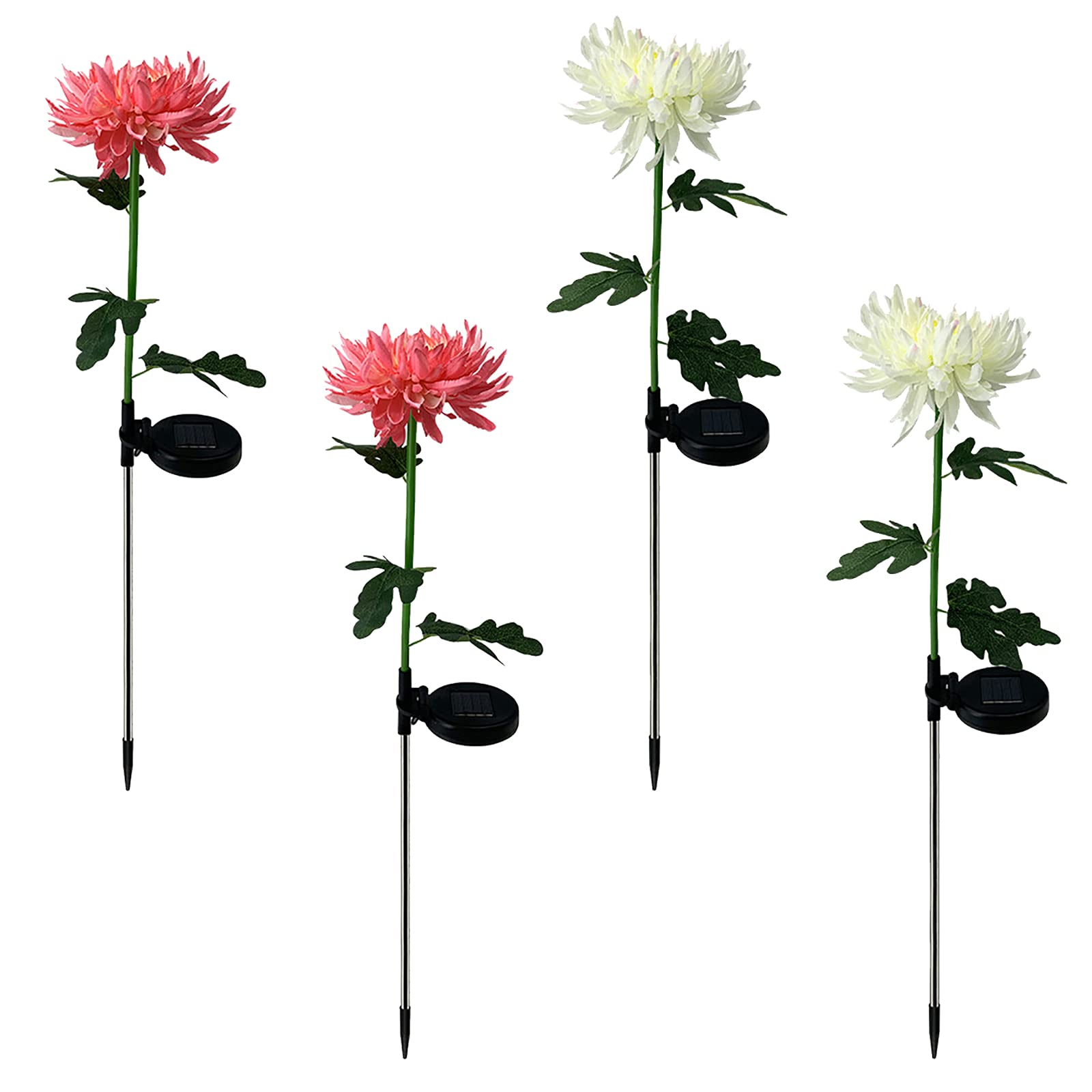 4 Pack Outdoor Solar Lights - Waterproof Chrysanthemum Flower Solar Garden Lights with LED (2 Pink + 2 White) for Patio, Yard, Pathway, and Landscape Decoration | Weather-Resistant Solar Powered Lighting for Outdoor Spaces