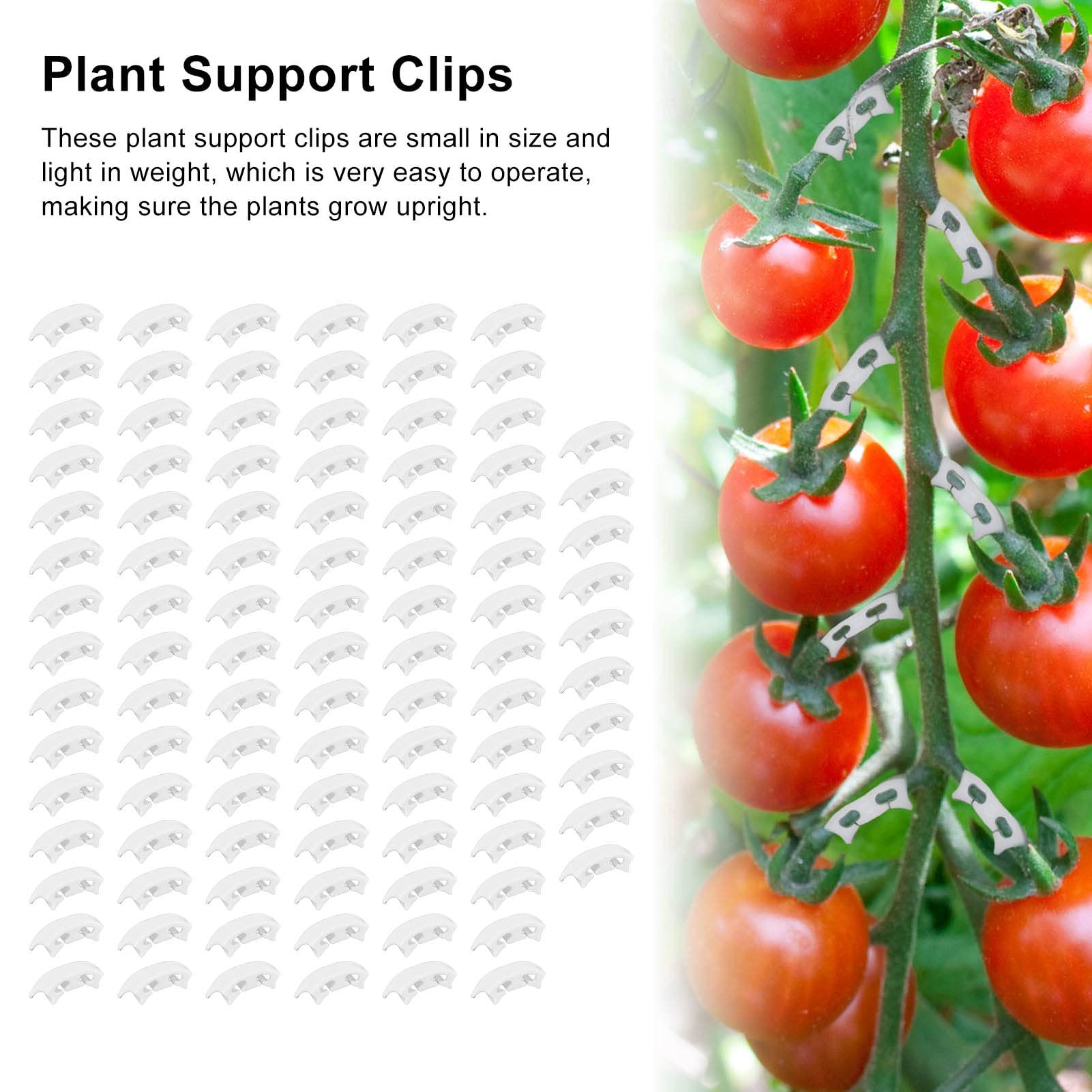100Pcs Plant Support Clips - Plastic Garden Vine Clips for Tomatoes, Cucumbers & Climbing Plants | Durable Plant Training Clips for Horticulture, Vegetables & Indoor/Outdoor Gardening | Perfect for Trellis, Greenhouse & Vertical Gardening