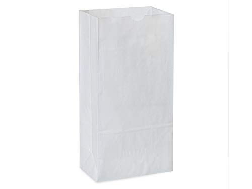 Eco-Friendly Kraft & White Gift Bags Bulk 500-Pack for Parties & Retail