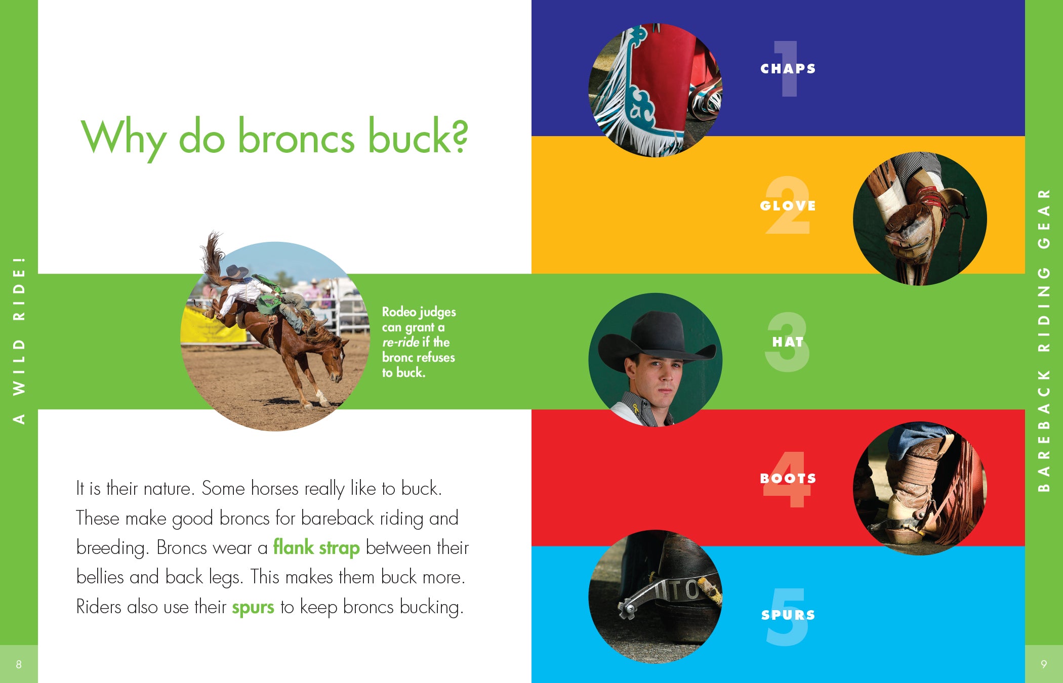 Bareback Riding Gear & Equipment for Equestrians - Comfortable & Secure Horseback Riding Accessories for Trail Riding & Training