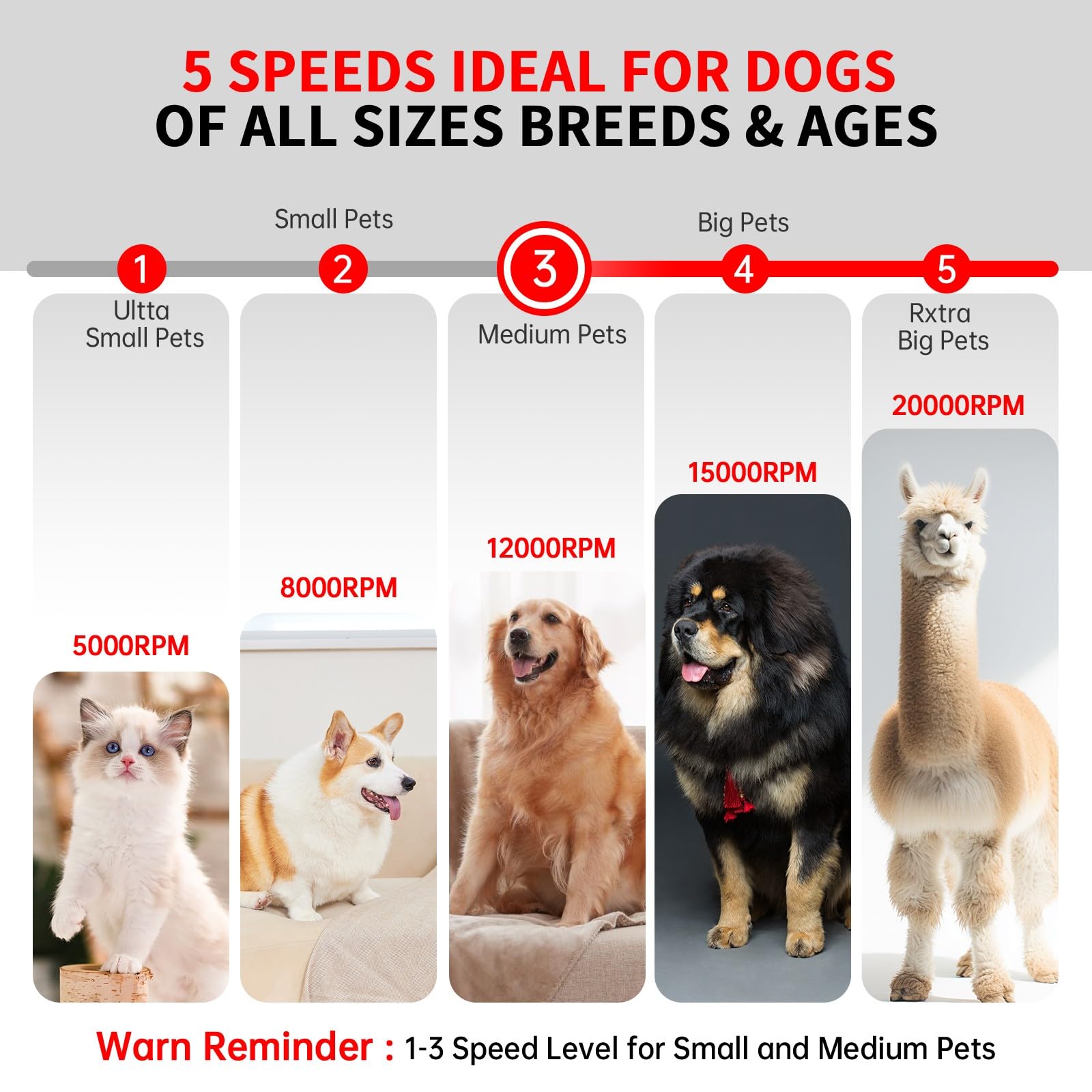 Upgraded Electric Dog Nail Grinder with LED Light - 5 Speed Rechargeable Pet Nail Trimmer for Dogs, Cats & Small Animals | 40 Accessories Kit | Gentle & Safe for Puppies, Kittens & Medium Pets | Perfect for Home Grooming & Professional Pet Care