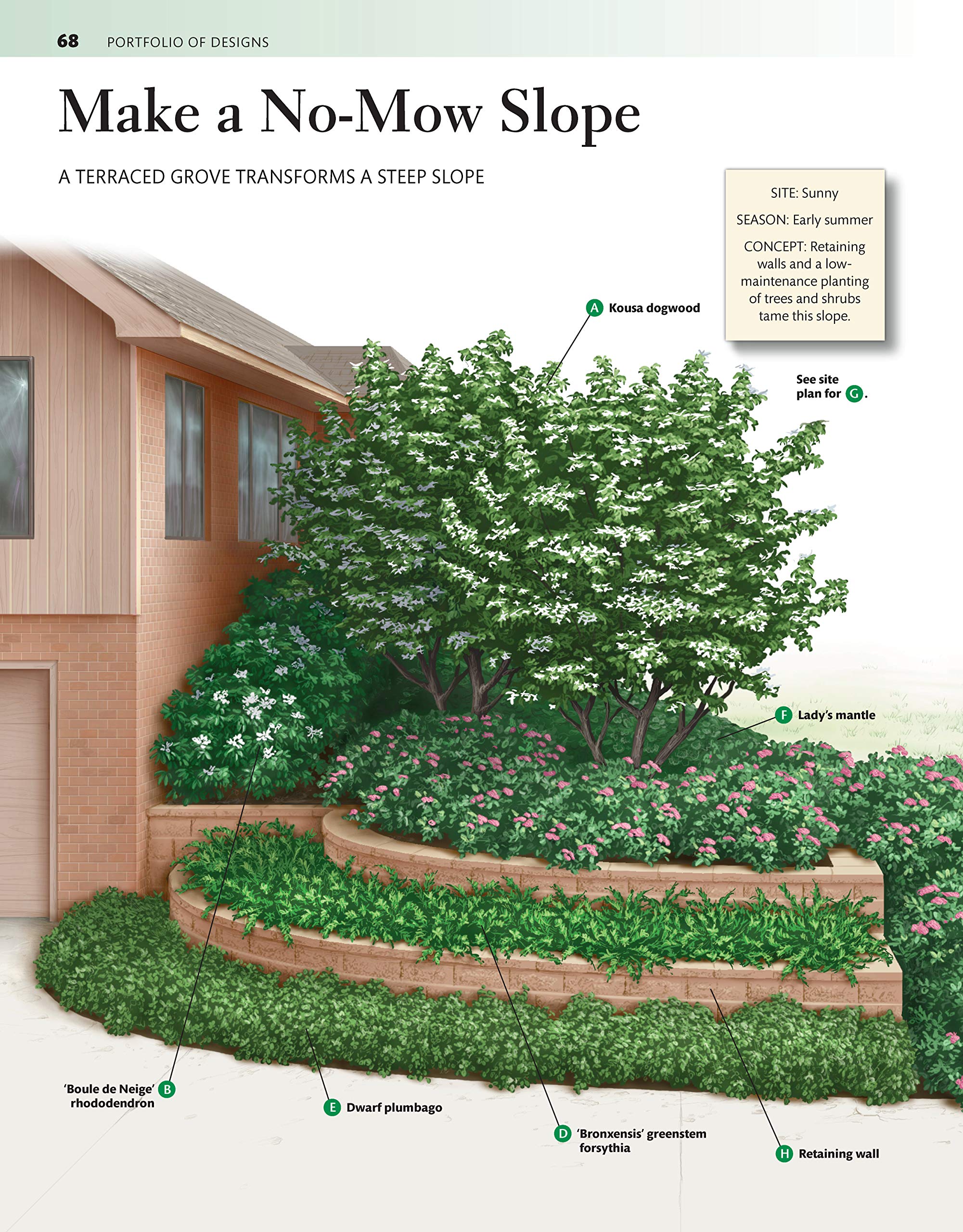 Mid-Atlantic Home Landscaping Guide - 3rd Edition | 400+ Color Photos, 200 Plants & 46 Outdoor Design Ideas for Beautiful & Functional Yards | Perfect for DIY Gardeners & Landscape Designers