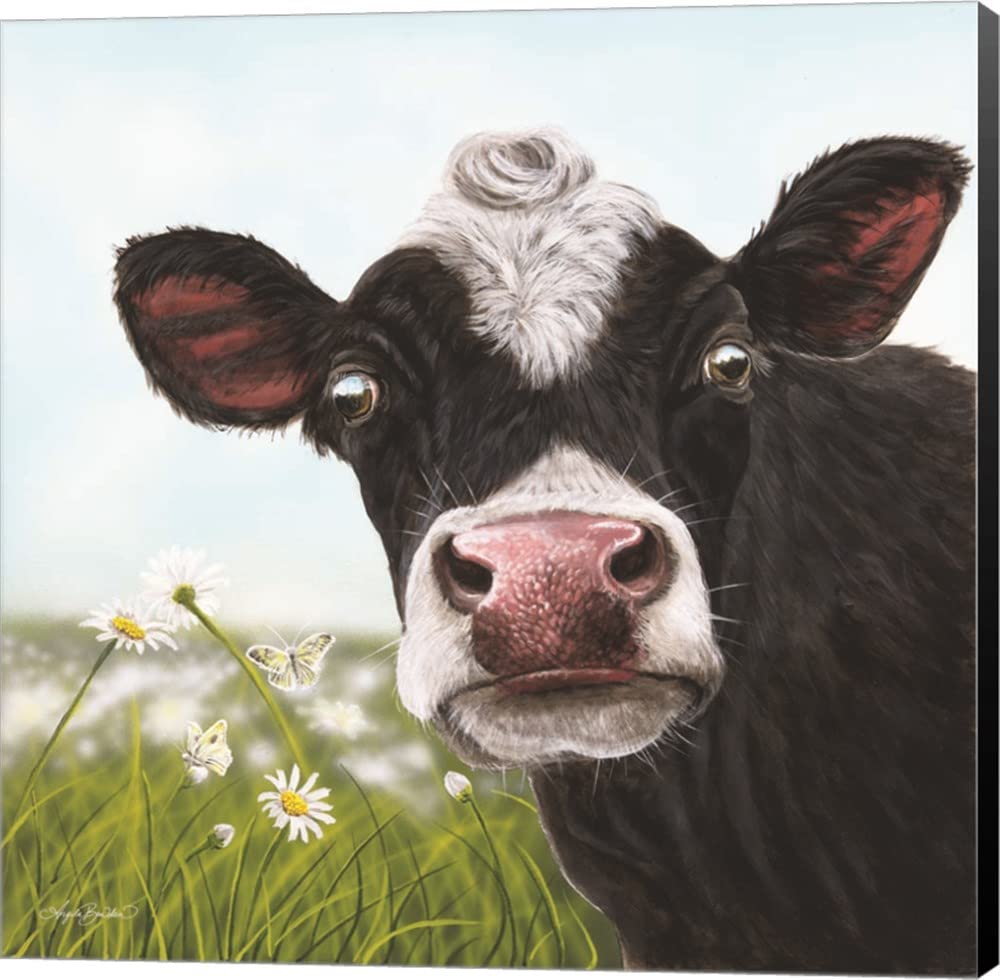 Daisy Moo by Angela Bawden - 28x28 Inch Modern Canvas Wall Art with Black Sides, Museum Wrapped for Living Room, Bedroom & Office Decor