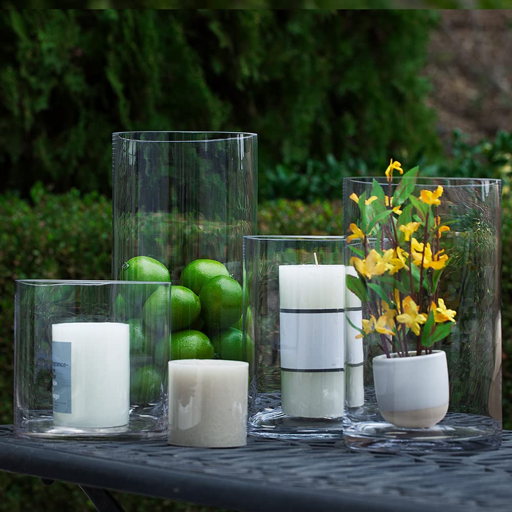 Enova Floral Clear Glass Cylinder Vase - 6