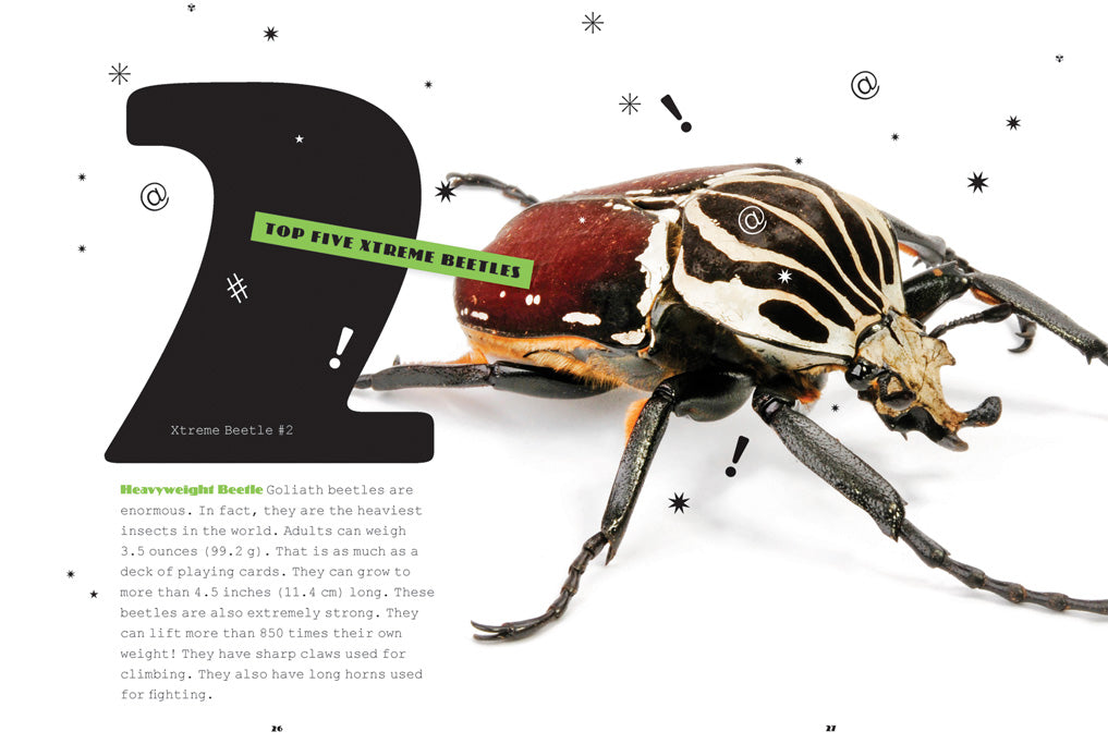 Beetles 978-1-60818-988-5 - Insect Encyclopedia & Field Guide for Nature Lovers, Students & Researchers - Perfect for Outdoor Exploration, Science Projects & Bug Identification
