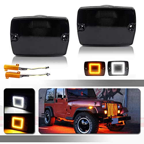 Smoked lens Turn signal light