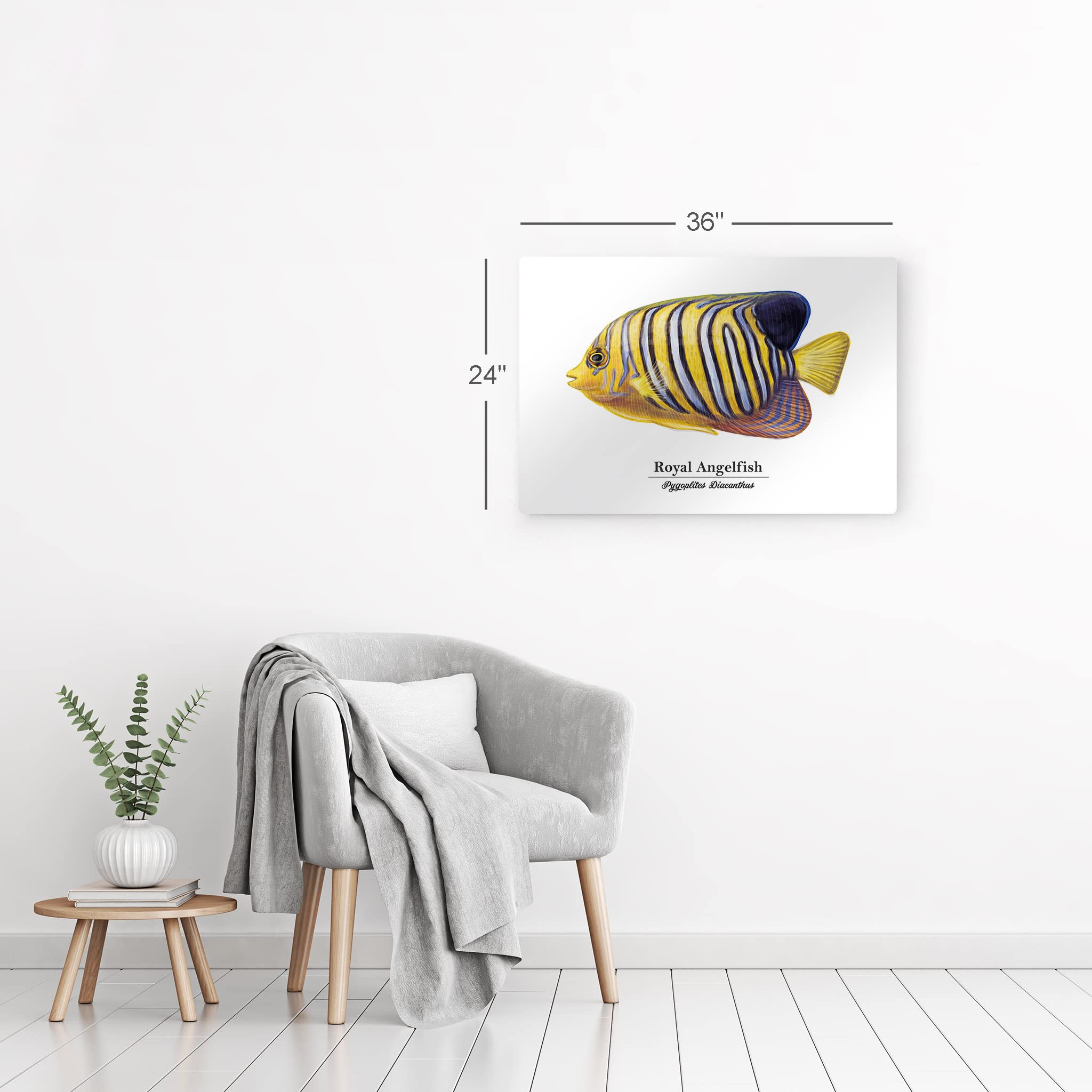 Royal Angelfish Metal Wall Art - 16x24 Inch Marine Animal Painting, Pygoplites Diacanthus Fish Print for Coastal & Nautical Decor - Perfect for Living Room, Bedroom, Kids Room & Office - Handmade in USA | Ocean-Themed Home & Fishing Gift Idea