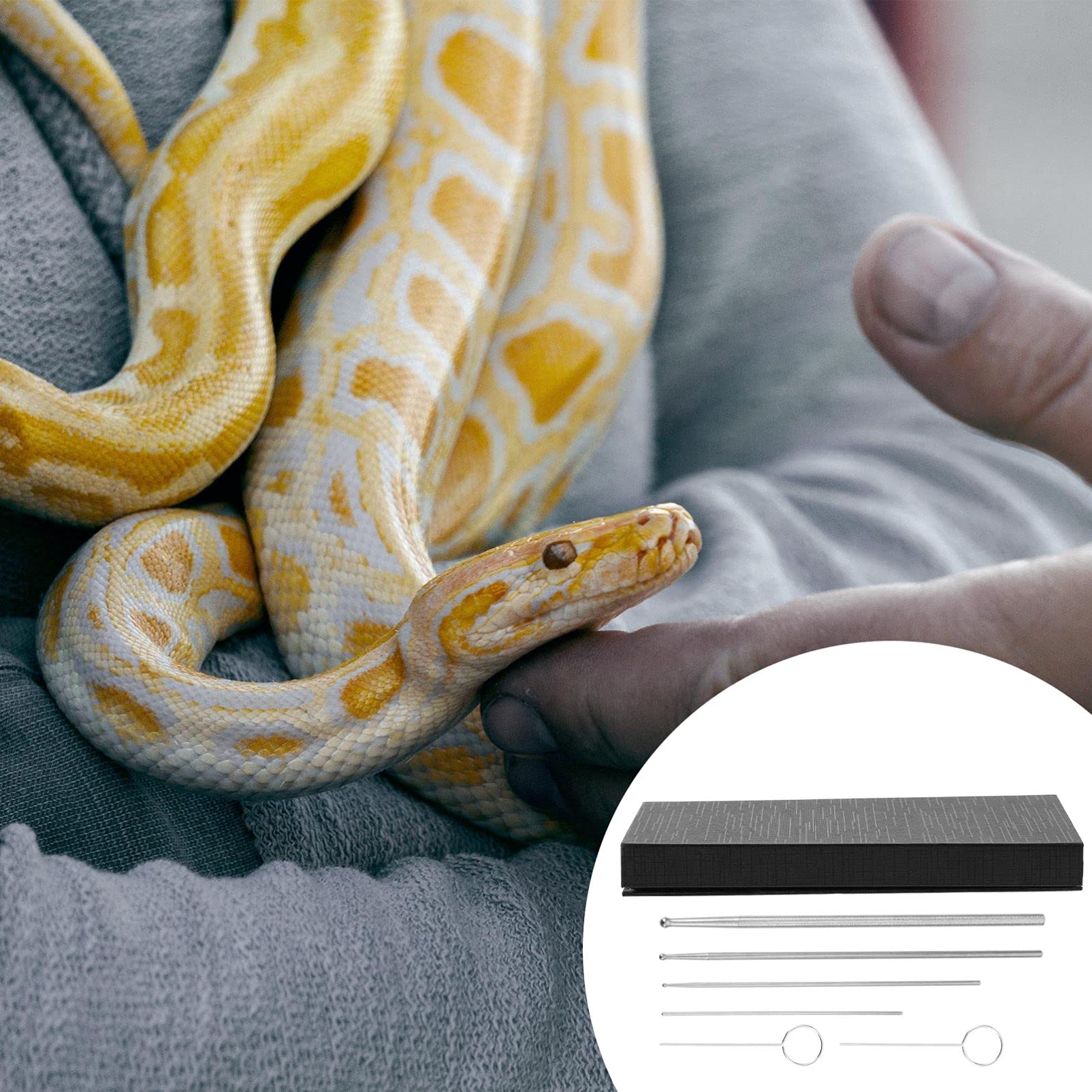 Balacoo Amphibia 6-Piece Snake Probe Kit with Round Tips - Professional Reptile Sexing Probes for Snakes, Lizards & Exotic Pets | Perfect for Breeders, Veterinarians & Herpetologists