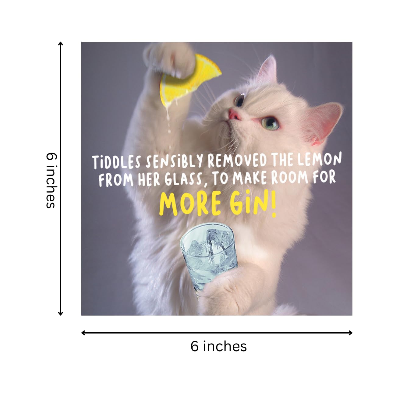 Funny Virtual Safari Birthday Card for Women - Unique & Hilarious Birthday Greeting Card for Her - Perfect for Adventurous Friends & Animal Lovers