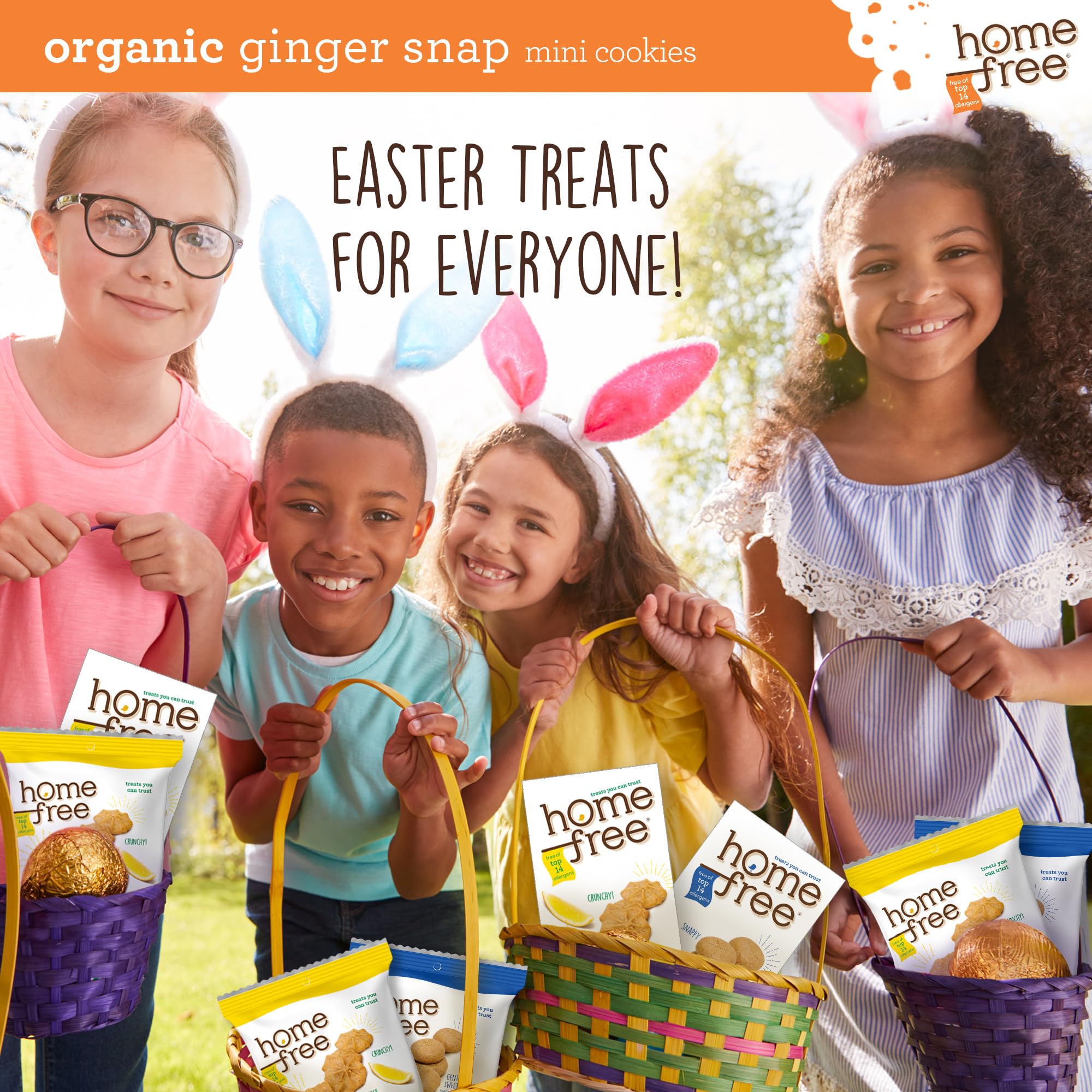 Organic Mini Ginger Snap Cookies - Gluten Free, Nut Free, Vegan, School Safe Snack - Individually Wrapped 0.95 oz Packs (64 Count) - Perfect for Lunchboxes, Allergy-Friendly Treats & On-the-Go Snacking