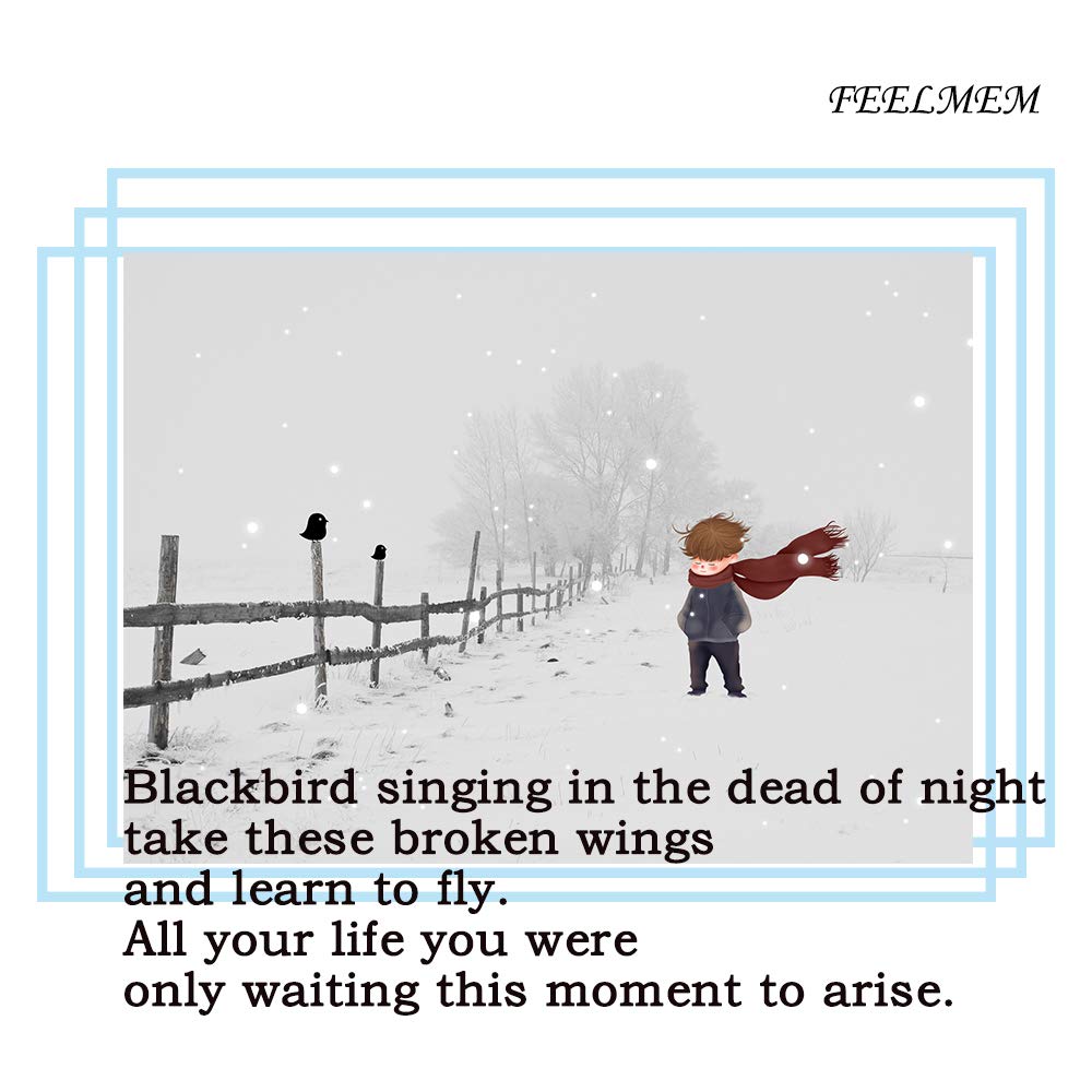FEELMEM Blackbird Singing Song Quote Keychain - Inspirational Lyrics Jewelry Gift for Music Lovers, Best Friend, Birthday (Perfect for Keychains, Backpacks, Gifts)