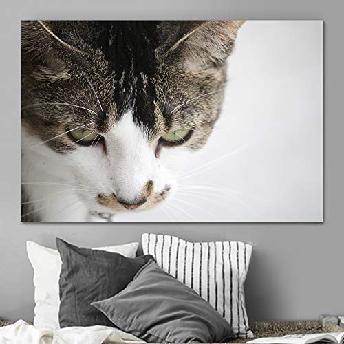Premium Canvas Wall Art - Cat Looking at a Distance II, Contemporary Multicolor Animal Photography (16x24 inches) - Perfect for Bedroom Decor, Living Room, Office & Urban Home Aesthetics