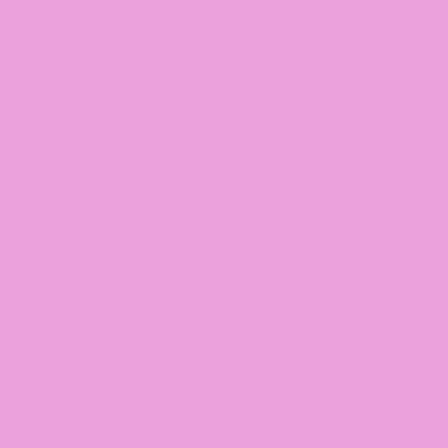 Tula Pink Solids - Sweet Pea Fabric for Quilting & Sewing | Premium Cotton Material for DIY Crafts, Home Decor & Fashion Projects | Perfect for Quilts, Apparel & Accessories