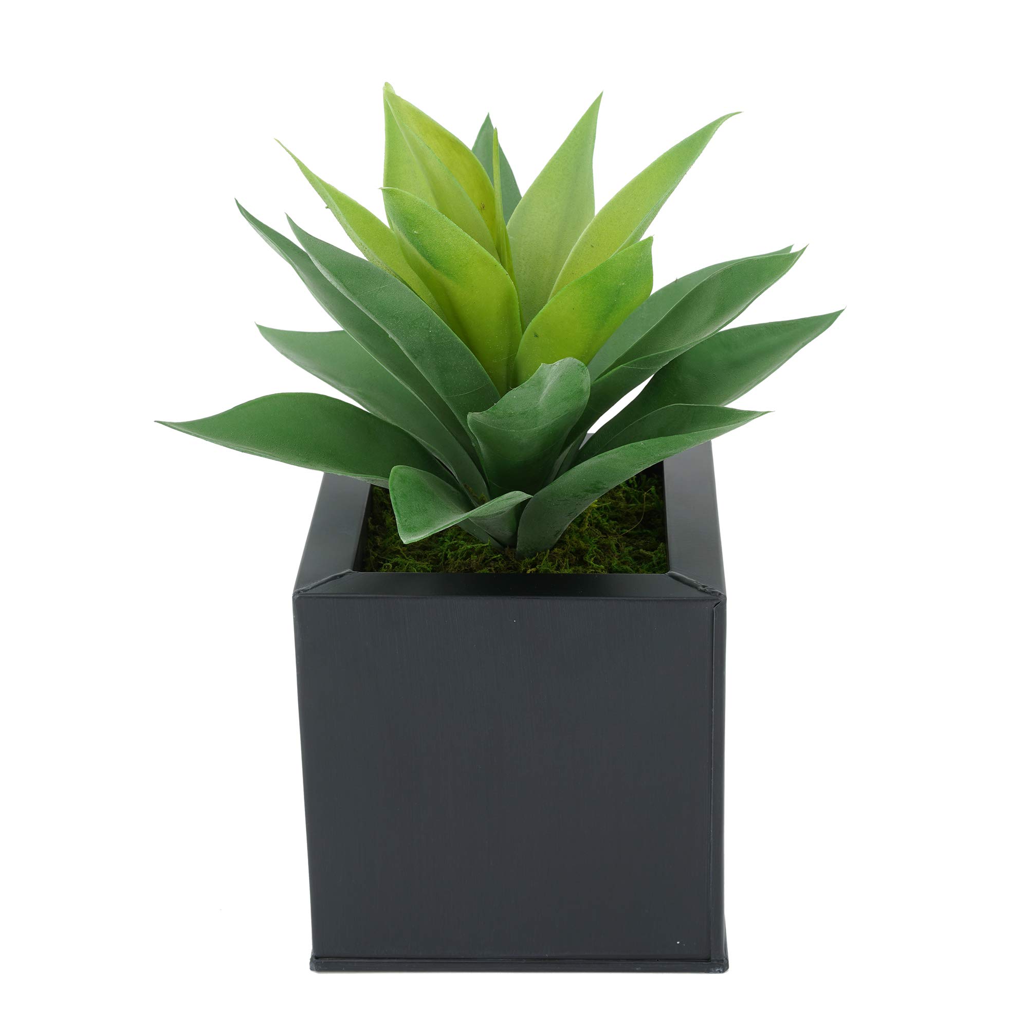 Artificial Frosted Light Green Succulent Plant in Square Zinc Pot - House of Silk Flowers - Perfect for Home Office Decor, Wedding Centerpieces & Shelf Displays