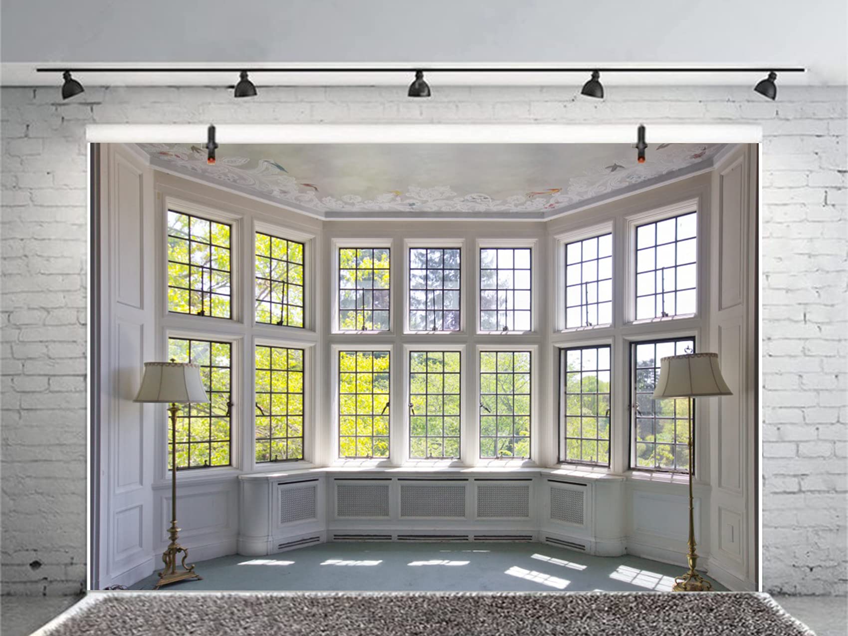 CSFOTO 10x7ft Big Bright Window Backdrop - Natural Garden View Background for Zoom Meetings, Video Conferences & Home Office - Perfect for Virtual Calls, YouTube Videos & Online Teaching