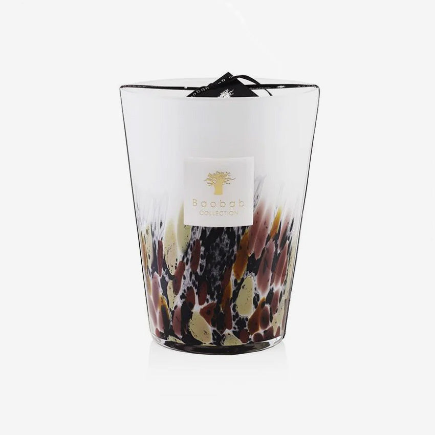 Baobab Collection Rainforest Tanjung Scented Candle - Luxury Home Fragrance for Relaxation & Aromatherapy | Perfect for Living Room, Bedroom & Spa Decor