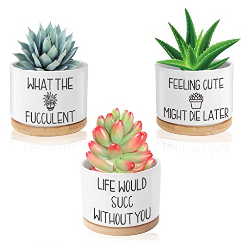 Life Would Succ Without You