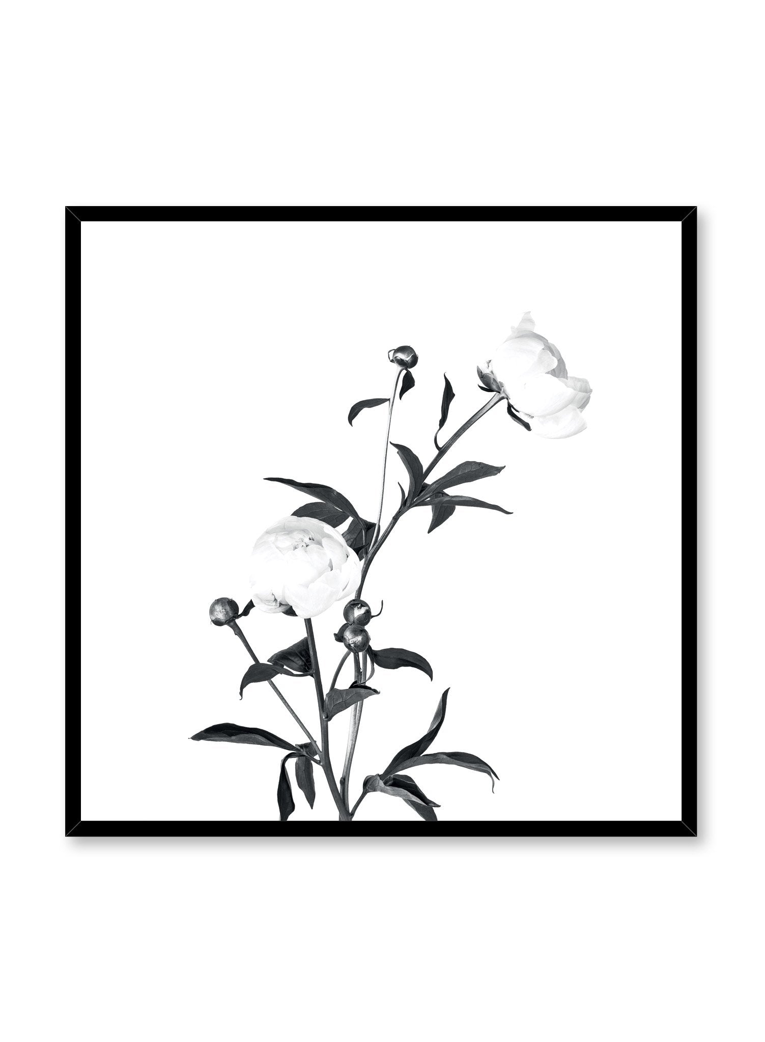 Romantic Black Wall Art Poster - Elegant Home Decor for Living Room, Bedroom & Office | Perfect for Valentine's Day & Anniversary Gifts