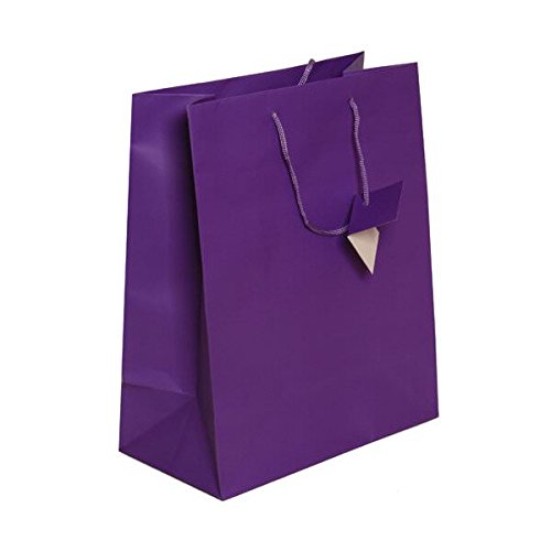 JAM Paper Purple Matte Gift Bags with Rope Handles - 10