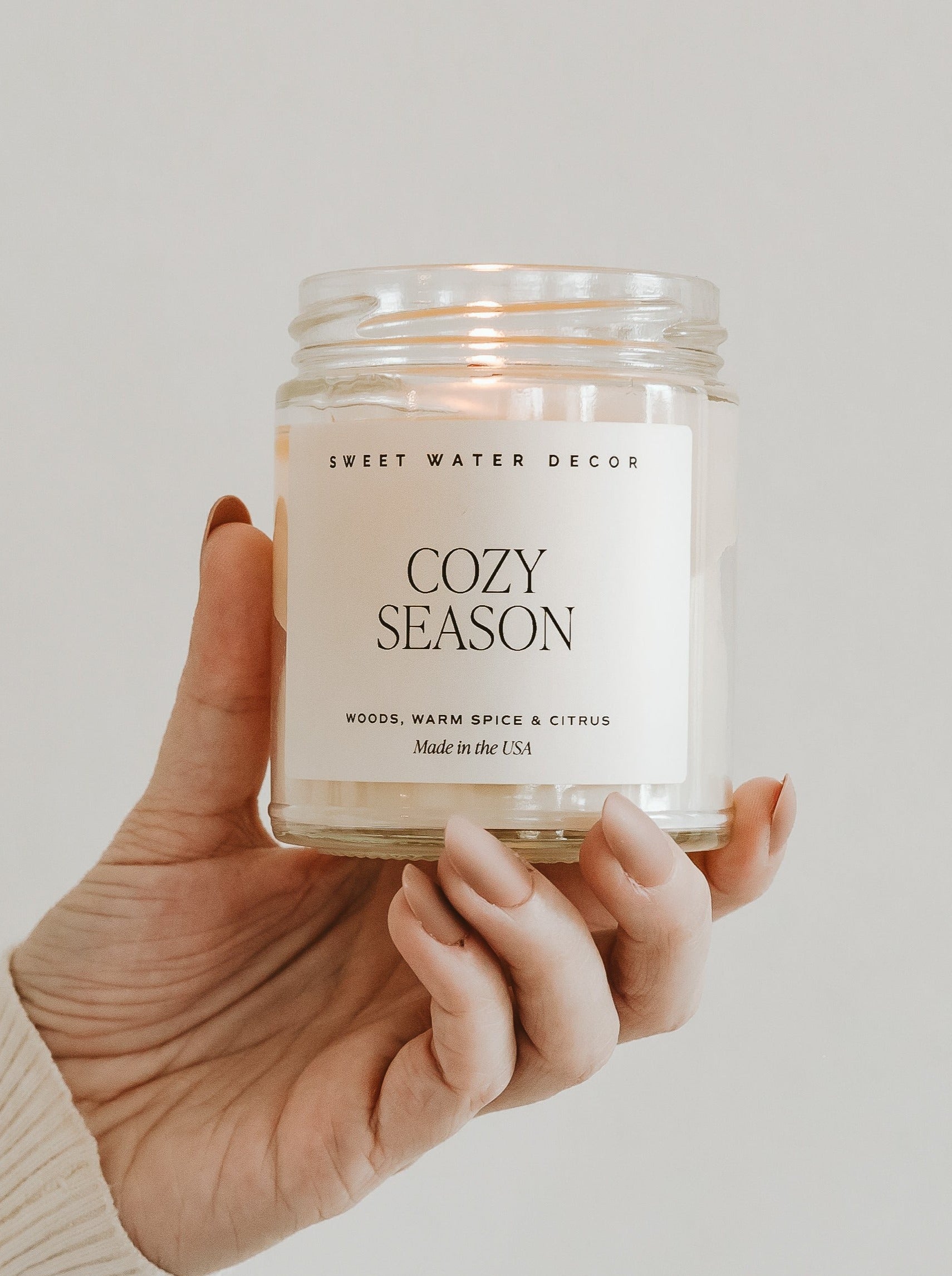 9 oz Soy Candle in Clear Jar - Natural, Long-Lasting & Aromatherapy for Home, Relaxation & Gifts | Cozy Season Scent