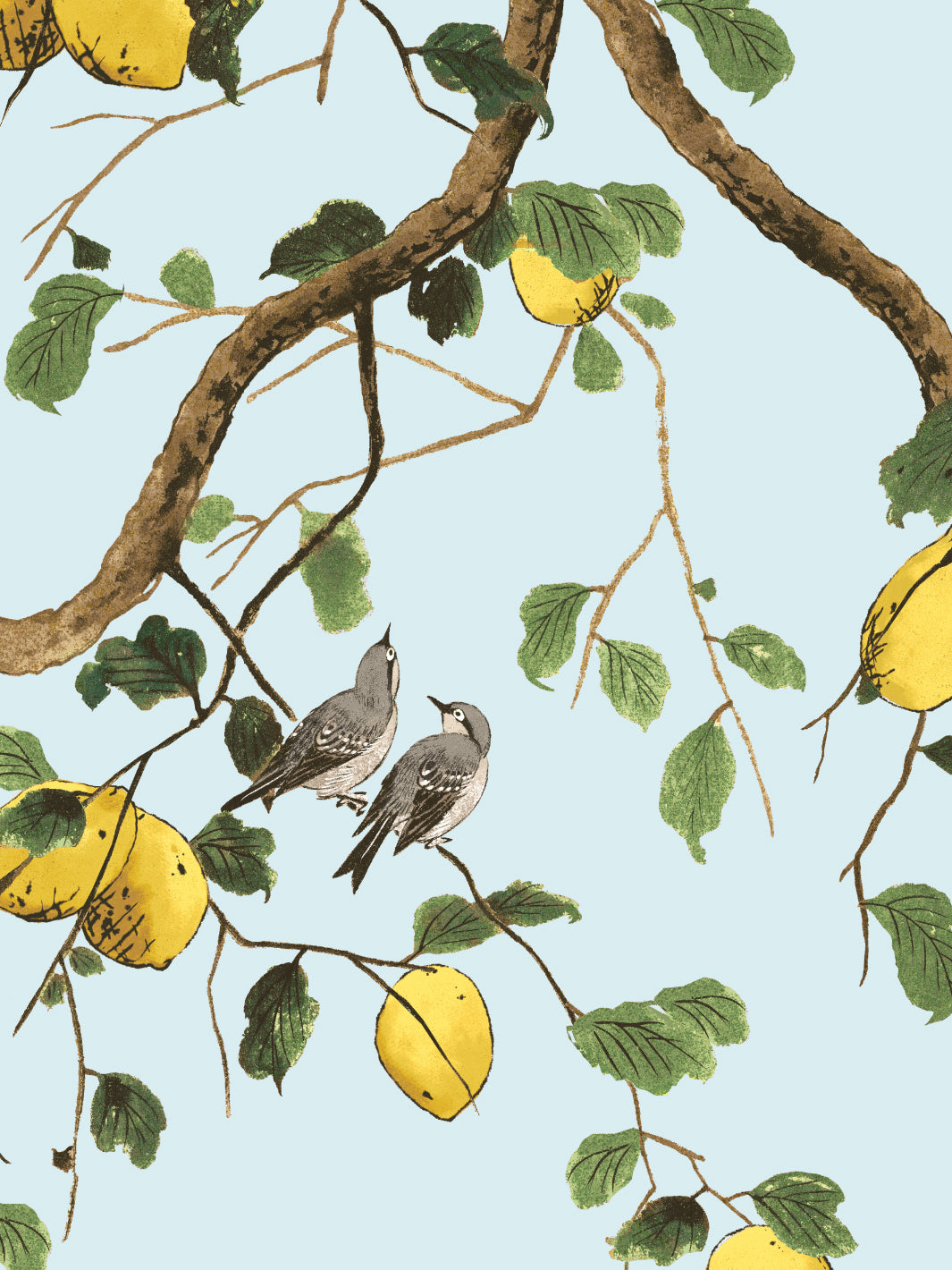 Lemon Birds Wallpaper by Nathan Turner - Light Blue Floral Peel & Stick Wallpaper for Bedroom, Nursery, or Home Office Decor
