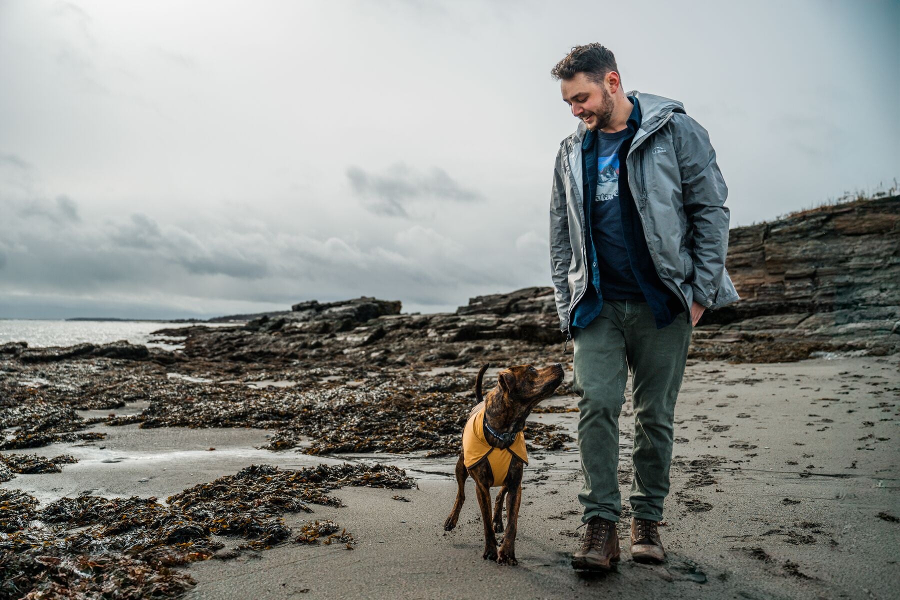 Waterproof & Windproof Ruffwear® Sun Shower™ Dog Raincoat - Mineral Yellow | Outdoor Adventure Gear for Hiking, Camping & Wet Weather Protection