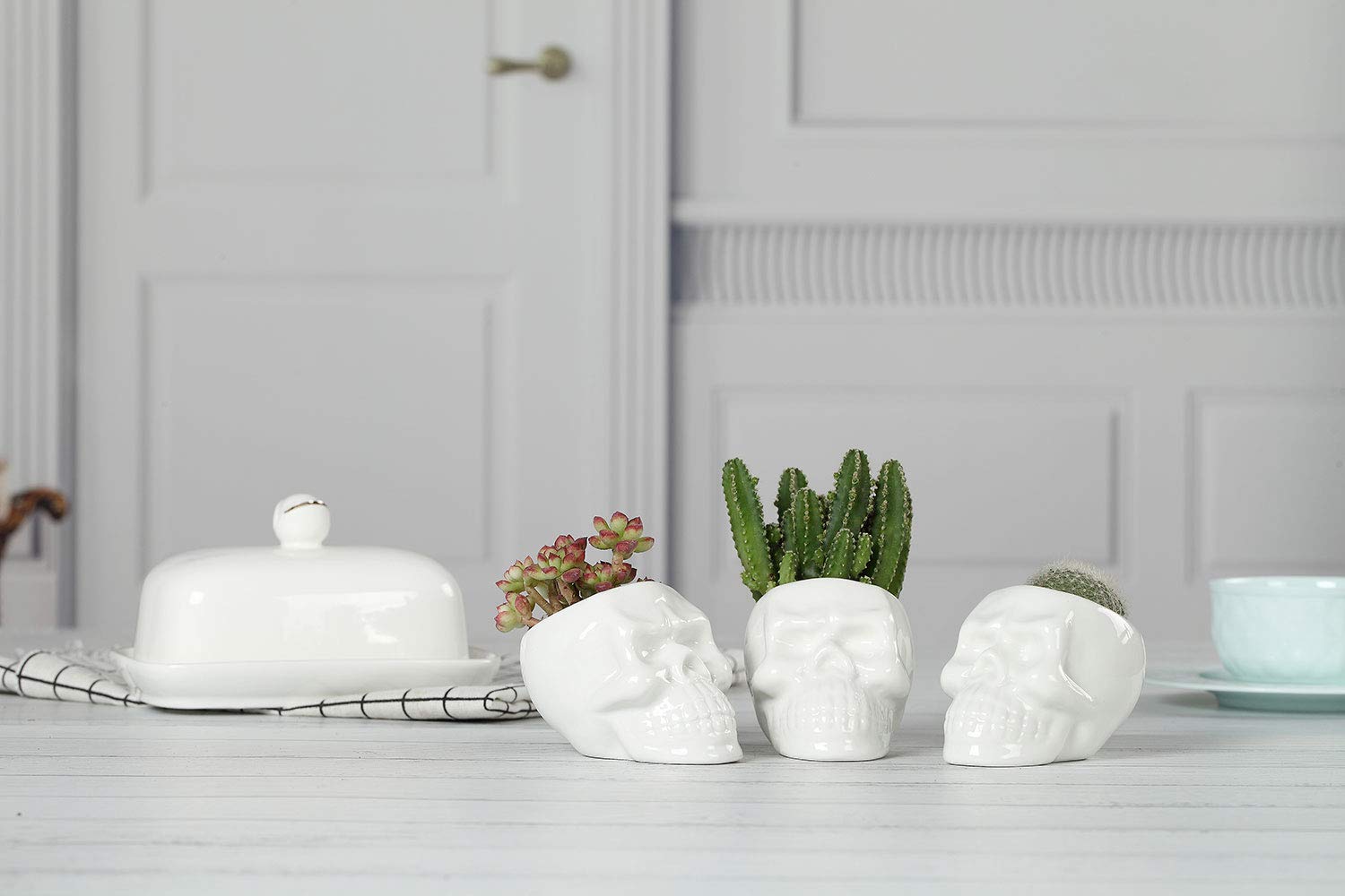 T4U Set of 3 Gothic Skull Succulent Planter Pots - White Ceramic Cactus Planters with Drainage Holes | Creative Plant Lover Gifts for Christmas, Birthday & Housewarming | Multi-Functional as Pen/Pencil Holder | Perfect for Home Office Decor, Gothic Decor & Halloween Party Centerpieces