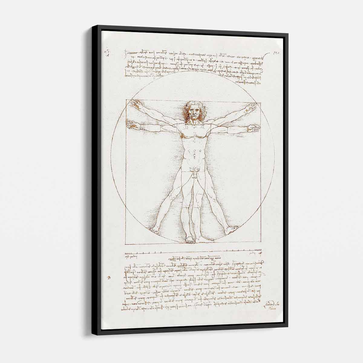 Beige Vitruvian Man Wall Art Canvas Print - High Quality Home Decor for Living Room, Bedroom & Office | Perfect Gift for Art Lovers