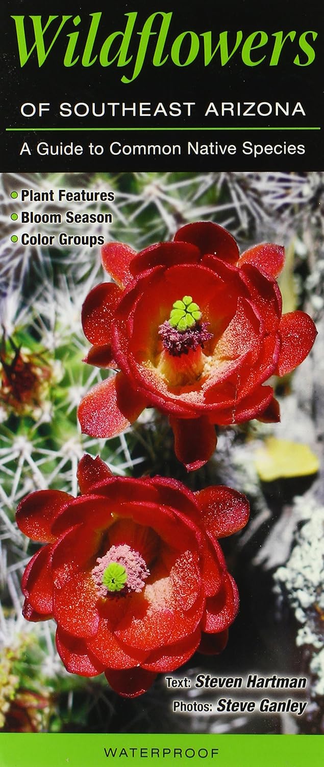 Wildflowers of Southeast Arizona: A Guide to Common Native Species | Quick Reference Field Guide for Hiking, Nature Walks & Botanical Study