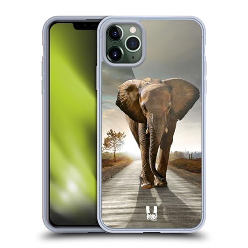 Elephant Walking On The Road
