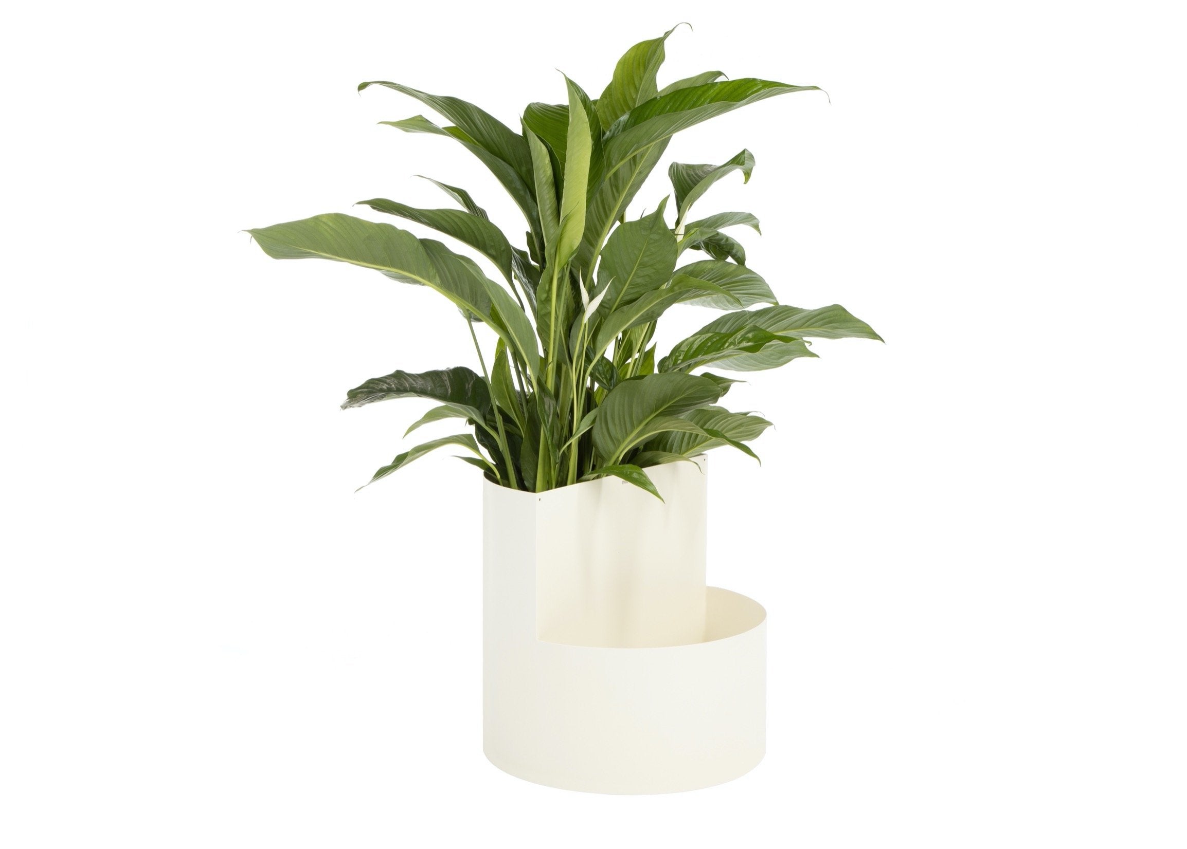 Owal Piazza Plant Pot - Modern Indoor Flower Pot for Home Decor, Office Desk, and Garden - Perfect for Succulents, Herbs, and Small Plants