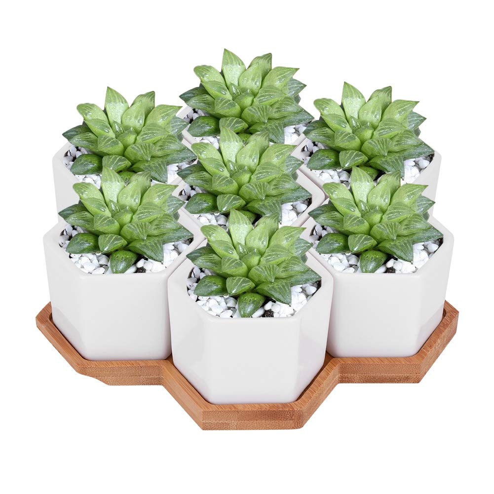 Elegant Plant Pot for Desk & Garden Decor - Home & Office