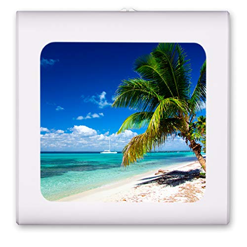 Beach and Palm