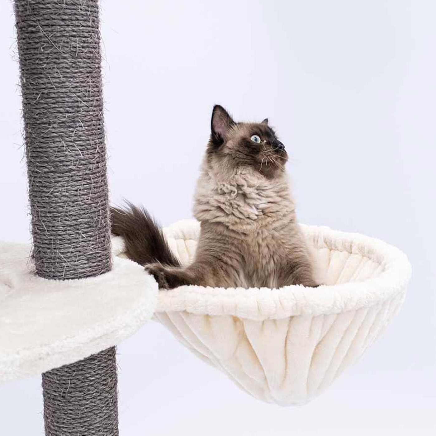 Premium Round Pet Hammock Sleeper - Cozy & Luxurious Cat & Dog Bed for Indoor & Outdoor Use - Perfect for Lounging, Napping & Relaxing in Style