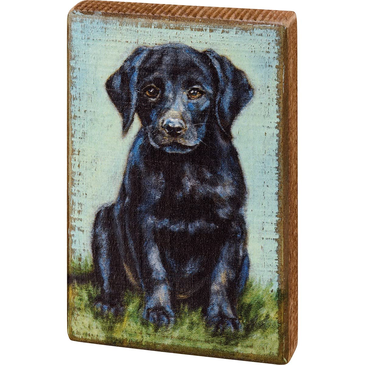 Primitives by Kathy Multicolor Home Décor Sign – Rustic Farmhouse Wall Art for Living Room, Kitchen & Entryway