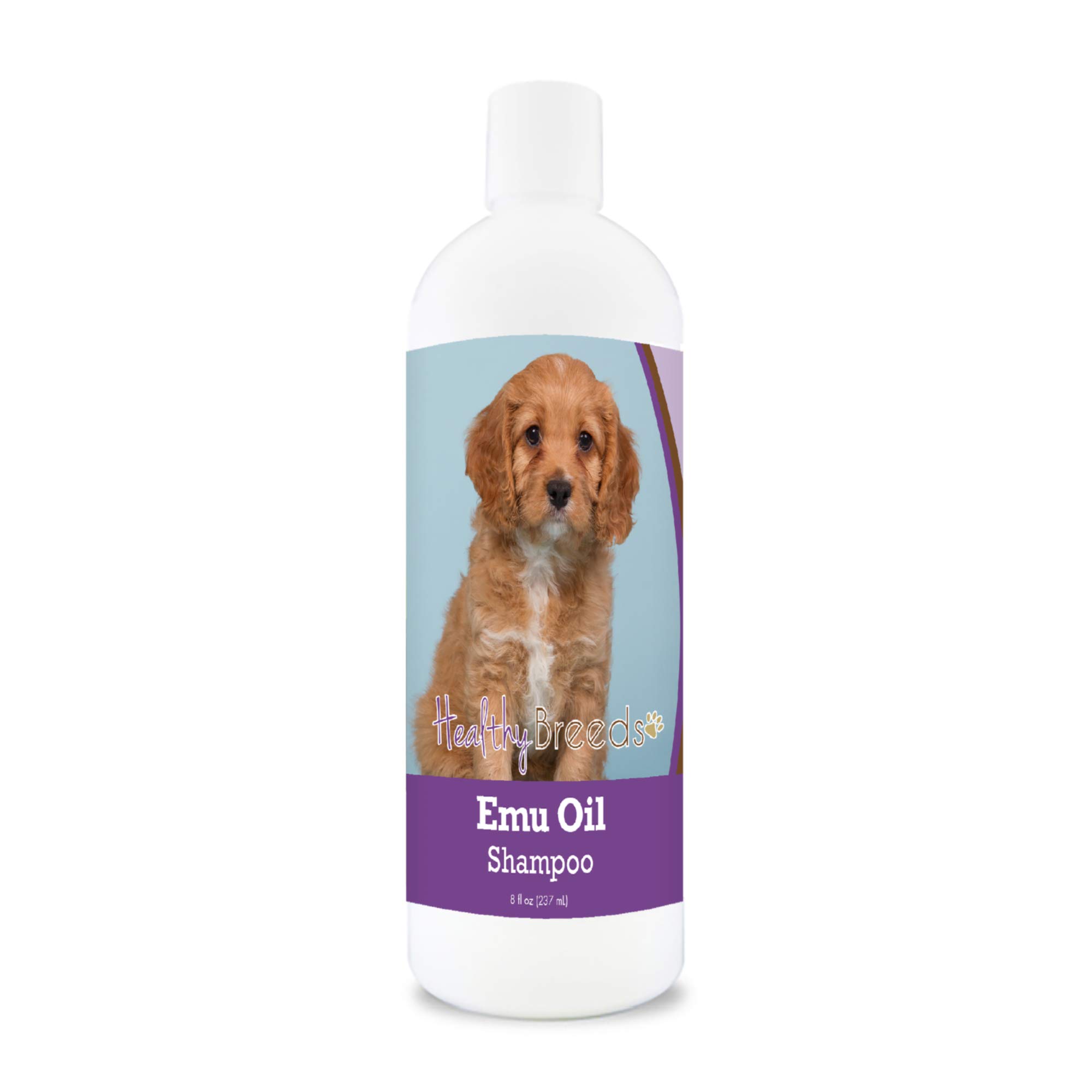 Healthy Breeds Cavapoo Emu Oil Shampoo for Dogs - 8 oz Gentle Moisturizing & Itch Relief - Perfect for Sensitive Skin & Allergy-Prone Puppies (Great for Bath Time & Grooming)