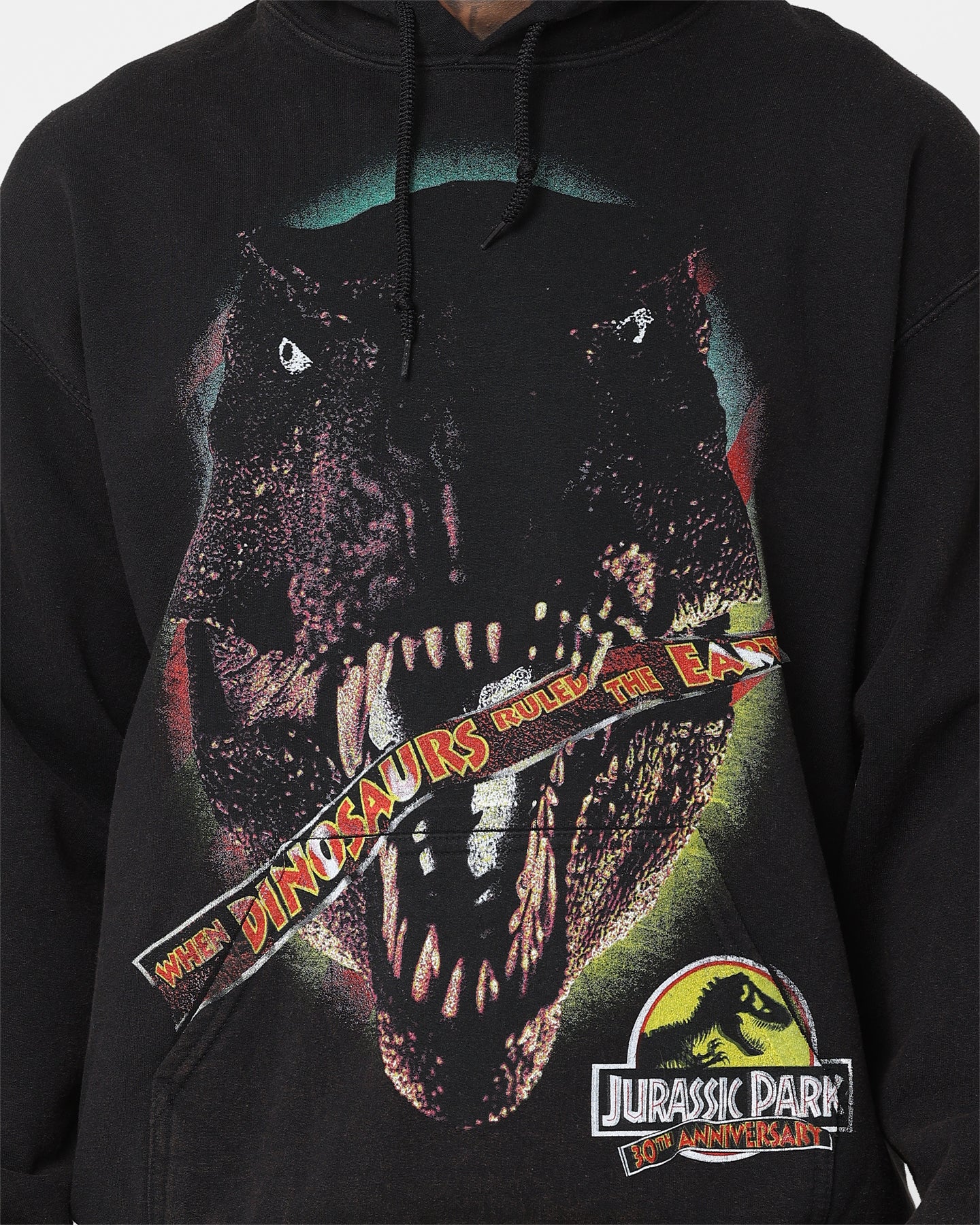 American Thrift Jurassic Park 30th Anniversary Vintage Hoodie - Black Distressed Wash - Perfect for Movie Nights & Retro Fashion Lovers