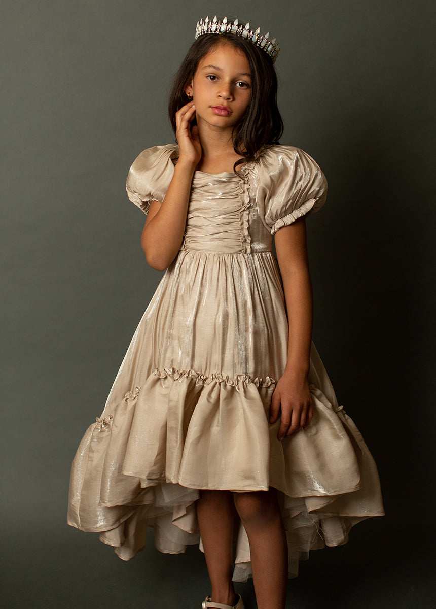 Mathilda Petticoat Dress - Champagne Iridescent Tulle Skirt for Women | Elegant Tea Party, Wedding Guest & Special Occasion Outfit