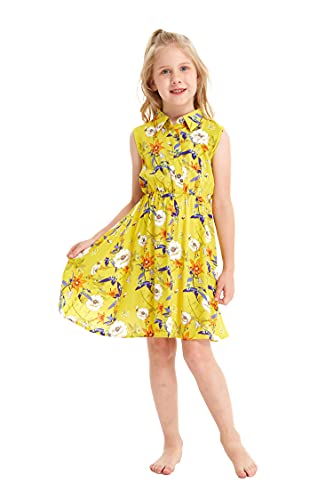 Girl Collar Shirt Dress