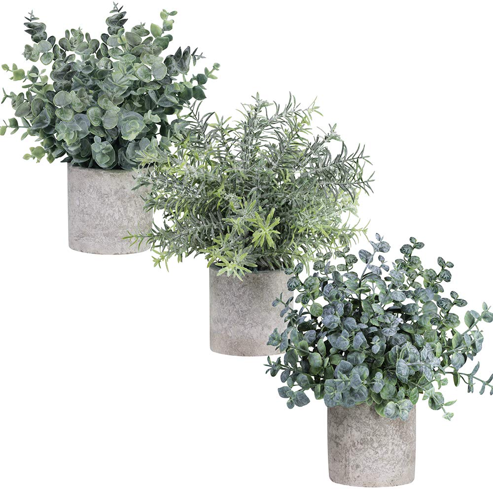 Winlyn Set of 3 Mini Artificial Eucalyptus Plants - Fake Plastic Greenery for Home Office Desk Decor, Bathroom & Shower Room Decorations - Perfect for Farmhouse, Wedding Centerpieces and Shelf Styling