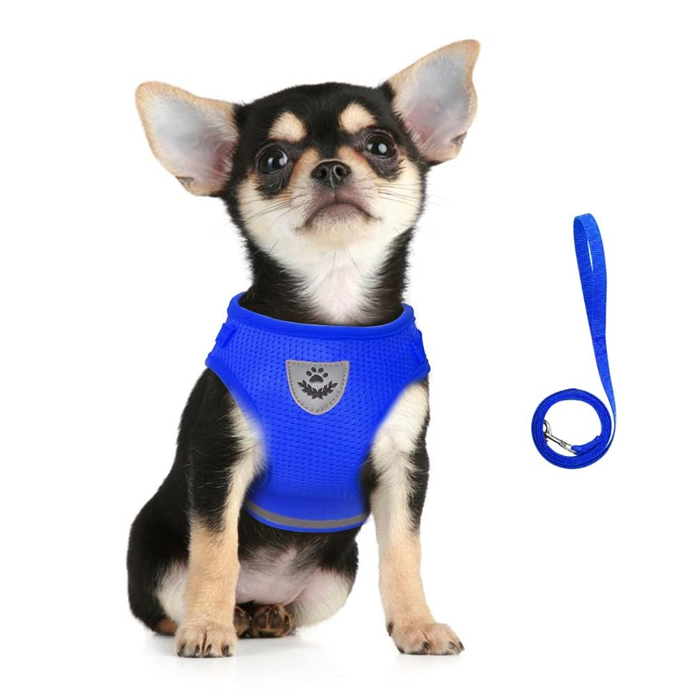 FEimaX Adjustable Dog Harness and Leash Set - Soft Breathable Mesh, Reflective Strips, Escape Proof Vest for Small Dogs & Cats (Blue, Small) - Perfect for Walking, Hiking, and Outdoor Adventures