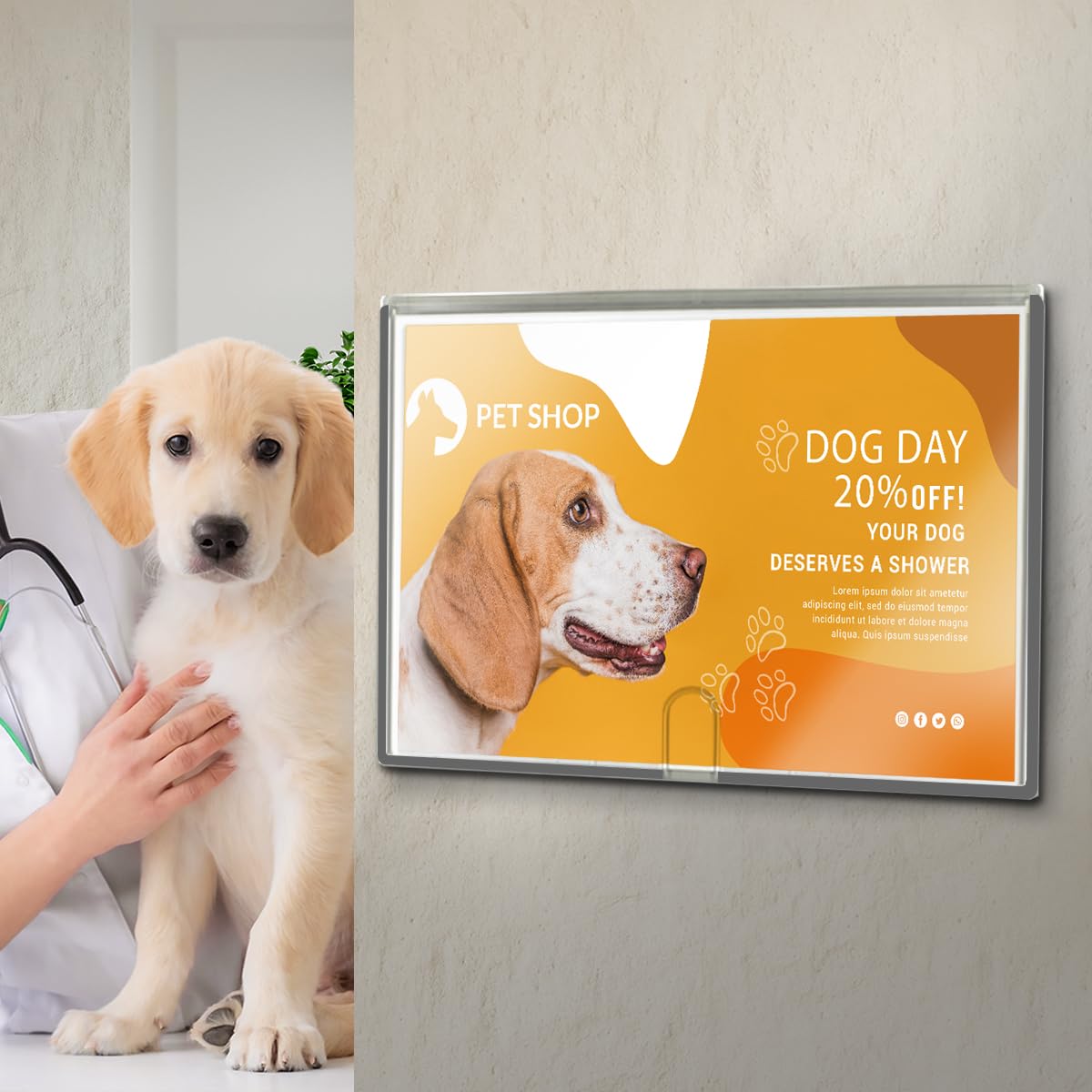 Acrimet Wall Mount Sign Holder - A3 Ledger Size, Clear Crystal Plastic with Self-Adhesive Backing - Ideal for Office, Restaurant, School & Home Displays (2-Pack) | Perfect for Menus, Notices, Posters & Retail Signage