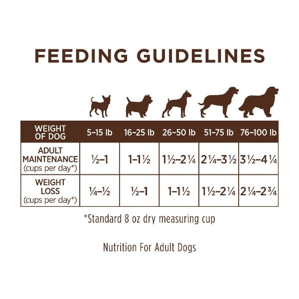 Instinct Limited Ingredient Diet Real Lamb Recipe Dry Dog Food - 20lb Bag for Sensitive Stomach & Allergies | Perfect for Adult Dogs with Food Sensitivities