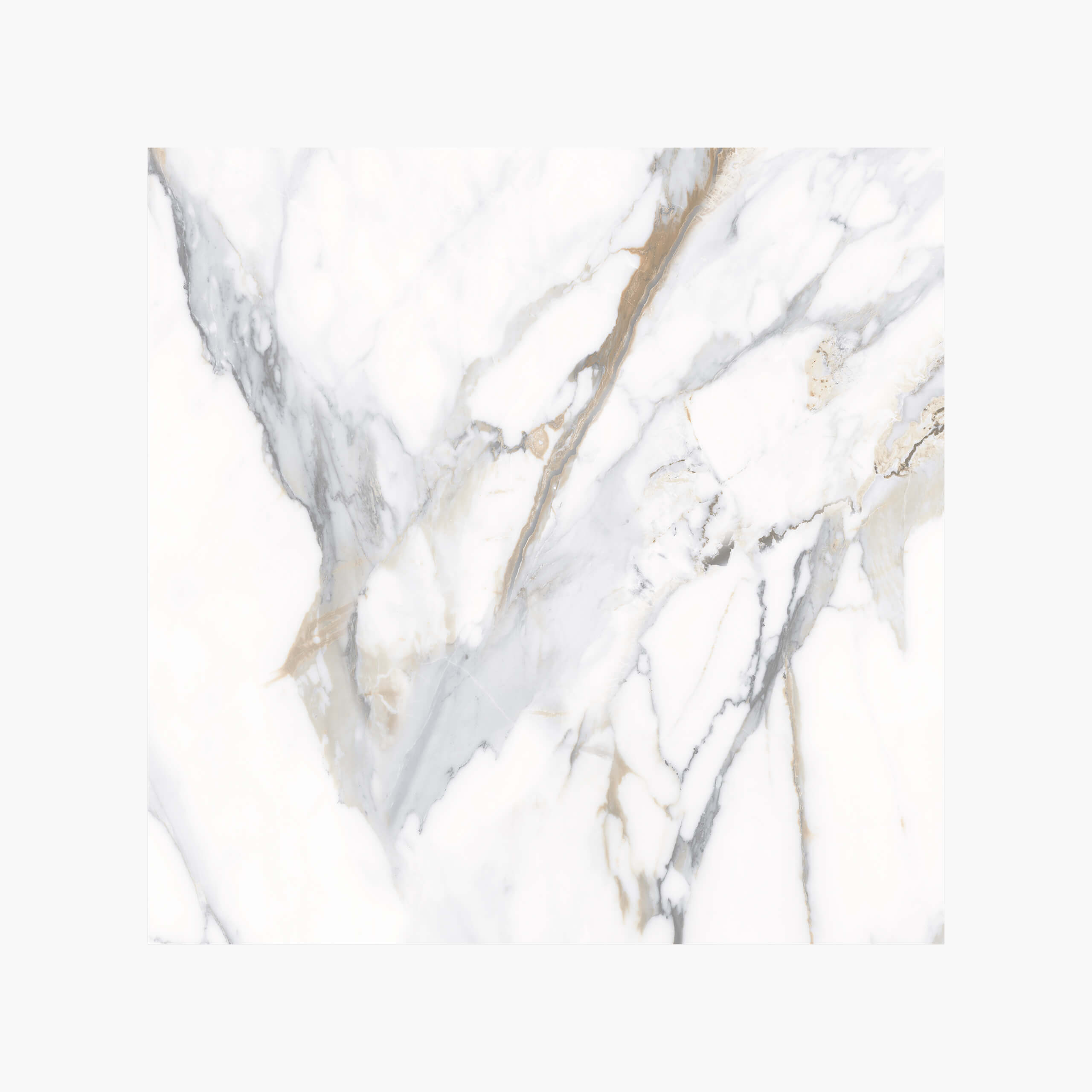 Premium Calacutta Oro 600x600 Matt White Porcelain Tile - Elegant Matte Finish for Kitchen Backsplash, Bathroom Walls & Flooring