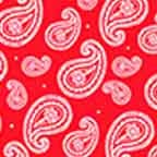 Paisley Red Pattern