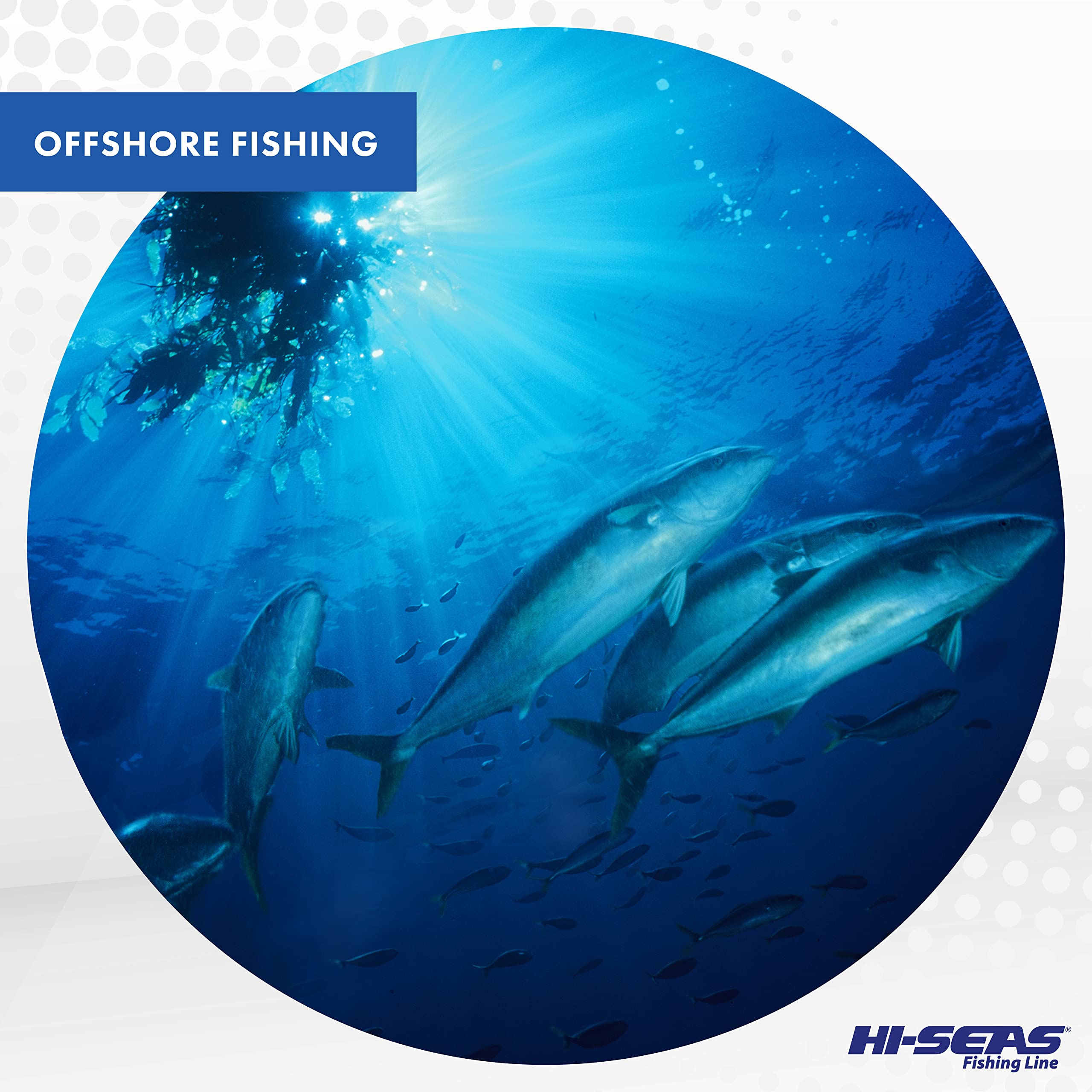 HI-SEAS Quattro Monofilament Fishing Line - Low-Visibility 4 Color Camo, Ultra Strong & Durable Saltwater Fishing Line for Bass, Trout, and Saltwater Game Fish - Perfect for Deep Sea, Offshore, and Freshwater Fishing